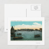 Uitzicht van witte olifant briefkaart (Voorkant / Achterkant)