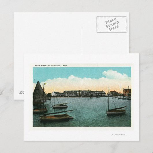 Uitzicht van witte olifant briefkaart (Voorkant / Achterkant)