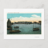 Uitzicht van witte olifant briefkaart (Voorkant)