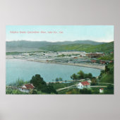 Uitzicht van zwavelbanken QuickSilver Mine Poster (Voorkant)