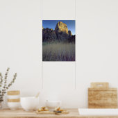 Uitzicht vanaf de overstromingsvlakte van de Virgi Poster (Keuken)