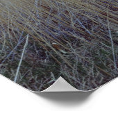 Uitzicht vanaf de overstromingsvlakte van de Virgi Poster (Hoek)