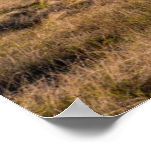 Uitzicht vanaf de top van de bergen poster (Hoek)