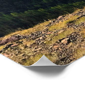 Uitzicht vanaf de top van Mount Howard, OR Poster (Hoek)
