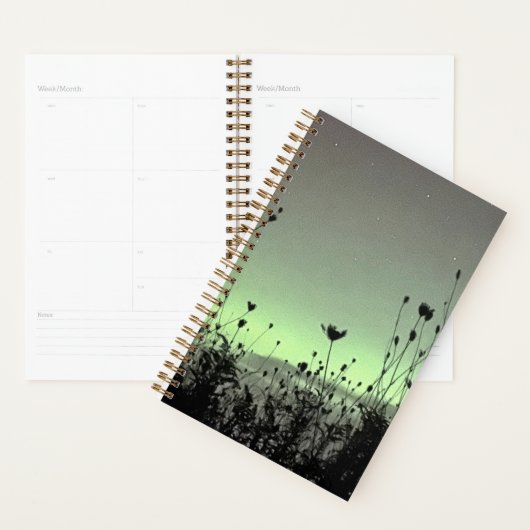 Uitzicht vanaf de veranda / Onkruid /  Planner (Display)