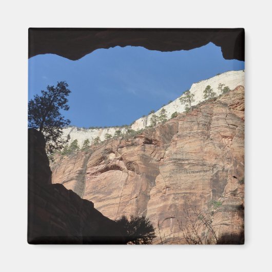 Uitzicht vanaf Devil's Staircase in Zion National  Magneet (Voorkant)