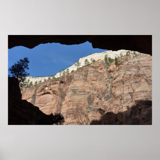 Uitzicht vanaf Devil's Staircase in Zion National  Poster (Voorkant)