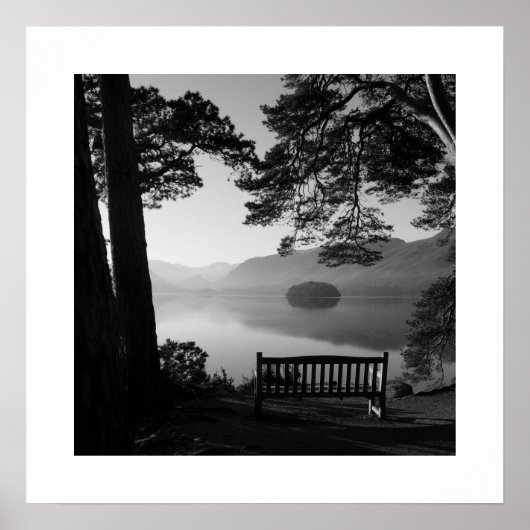 Uitzicht vanaf Friar's Crag: Derwentwater Lake Dis Poster (Voorkant)
