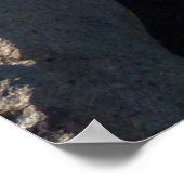 Uitzicht vanaf Mitchell Peak in Sequoia National P Poster (Hoek)