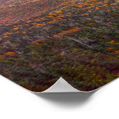 Uitzicht vanaf Mount Mansfield, Vermont, in de her Poster (Hoek)