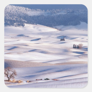 Uitzicht vanaf Steptoe Butte op glooiende heuvels  Vierkante Sticker