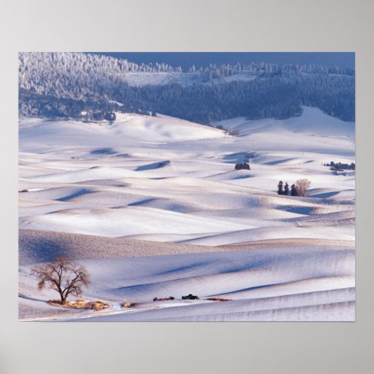 Uitzicht vanaf Steptoe Butte over glooiende heuvel Poster (Voorkant)
