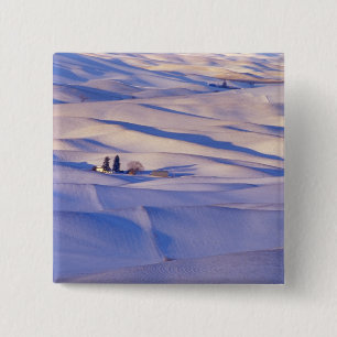 Uitzicht vanaf Steptoe Butte over glooiende heuvel Vierkante Button 5,1 Cm