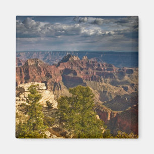 Uitzicht vanuit North Rim Visitor Center - Grand Magneet