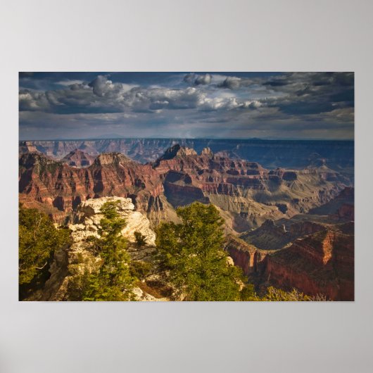 Uitzicht vanuit North Rim Visitor Center - Grand Poster (Voorkant)