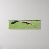 Uitzicht voor vogelogen boven panoramisch canvas (Voorkant)