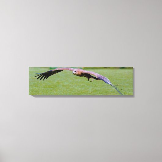 Uitzicht voor vogelogen boven panoramisch canvas (Voorkant)