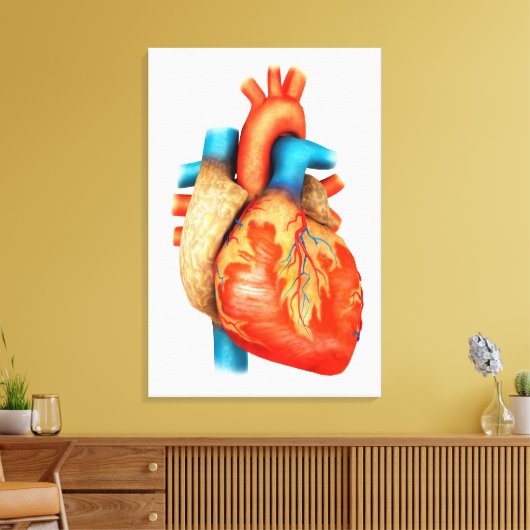 Uitzicht vooraan van het menselijk hart canvas afdruk (Insitu (Woonkamer))