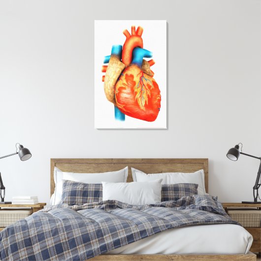Uitzicht vooraan van het menselijk hart canvas afdruk (Insitu (Slaapkamer))