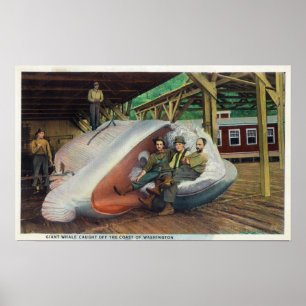 Uitzicht walvisjagers die zich op de walvis herste poster