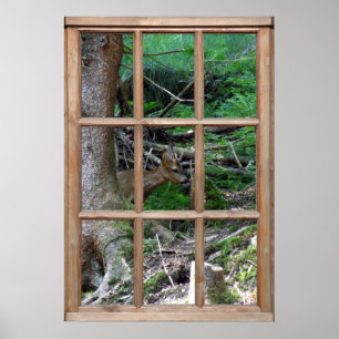 Uitzicht Woodland van een Venster Poster
