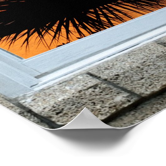 Uitzicht zonnepalm afdrukken poster (Hoek)