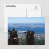 Uitzicht zwarte katten van het Briefkaart van de S (Voorkant / Achterkant)