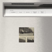 Uitzichten, Boise, Idaho Magneet (Insitu (Vaatwasser))