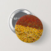 Uitzichten Herfst Herfstbladeren Ronde Button 5,7 Cm (Voorkant /achterkant)