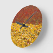 Uitzichten Herfst Herfstbladeren Ronde Klok (Hoek)