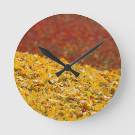 Uitzichten Herfst Herfstbladeren Ronde Klok