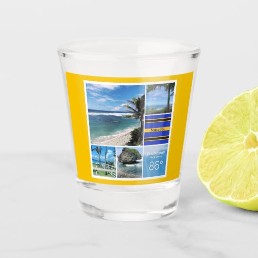 Uitzichten in de Barbados Ocean Shot Glas (Voorkant)