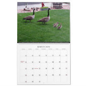 Uitzichten van de veranda... 2024 Big Wall Calenda Kalender (Mar 2026)