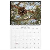 Uitzichten van de veranda... 2024 Big Wall Calenda Kalender (Jan 2026)