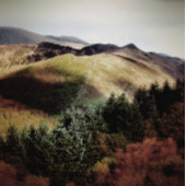 UITZICHTEN VAN DE WALEN CANVAS AFDRUK