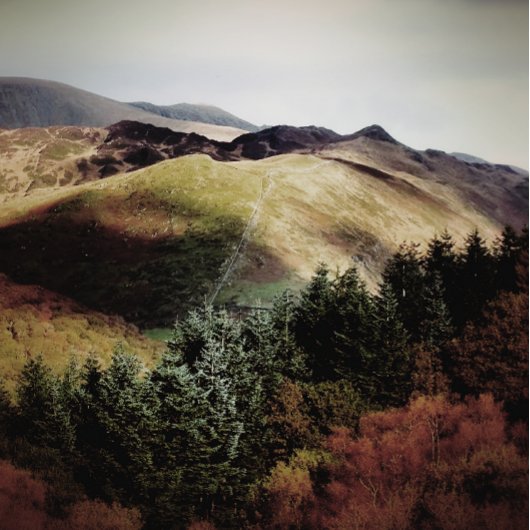 UITZICHTEN VAN DE WALEN CANVAS AFDRUK