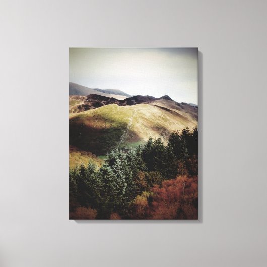 UITZICHTEN VAN DE WALEN CANVAS AFDRUK (Voorkant)