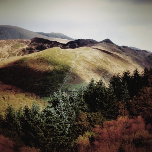 UITZICHTEN VAN DE WALEN GROTE KLOK