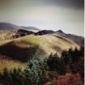 UITZICHTEN VAN DE WALEN HANGEND WANDKLEED