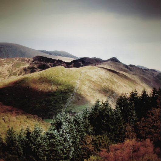 UITZICHTEN VAN DE WALEN HANGEND WANDKLEED