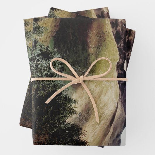 UITZICHTEN VAN DE WALEN INPAKPAPIER VEL (In situ)