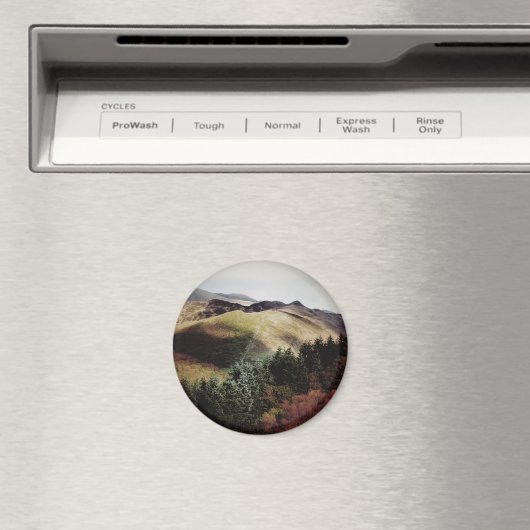 UITZICHTEN VAN DE WALEN MAGNEET (Insitu (Vaatwasser))