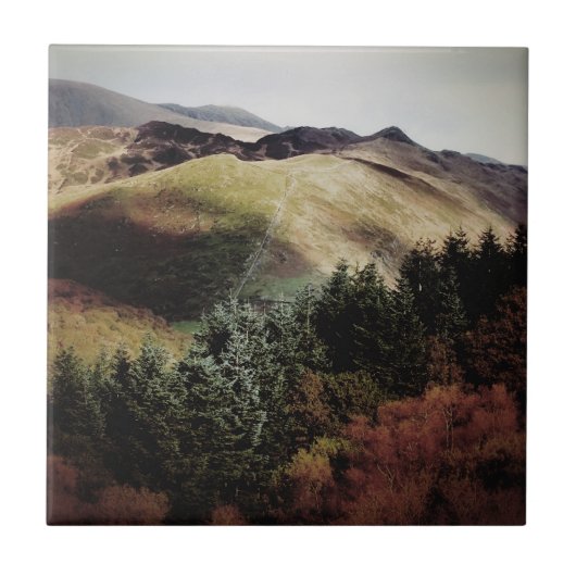 UITZICHTEN VAN DE WALEN TEGELTJE (Voorkant)