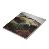 UITZICHTEN VAN DE WALEN TEGELTJE (Zijkant)