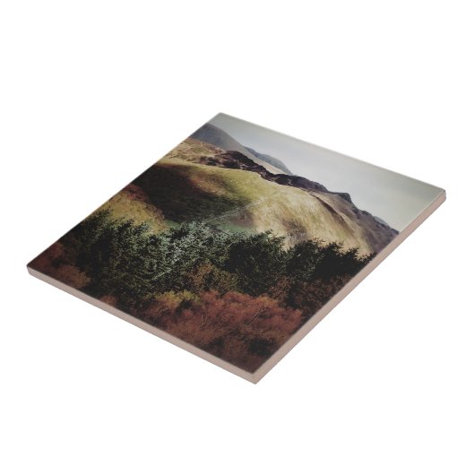 UITZICHTEN VAN DE WALEN TEGELTJE (Zijkant)