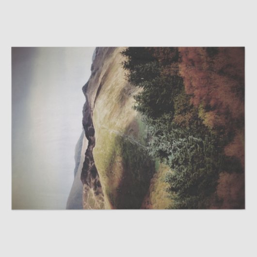 UITZICHTEN VAN DE WALEN TISSUEPAPIER (Voorkant)