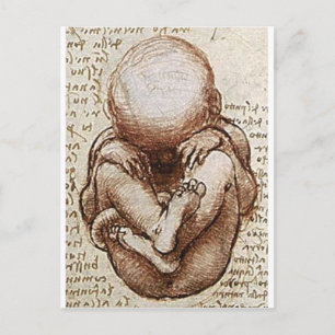 Uitzichten van een foetus in de baarmoeder briefkaart