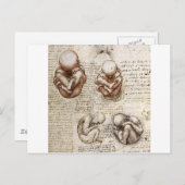 Uitzichten van een foetus in de baarmoeder briefkaart (Voorkant / Achterkant)