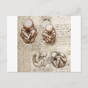 Uitzichten van een foetus in de baarmoeder briefkaart