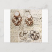Uitzichten van een foetus in de baarmoeder briefkaart (Voorkant)